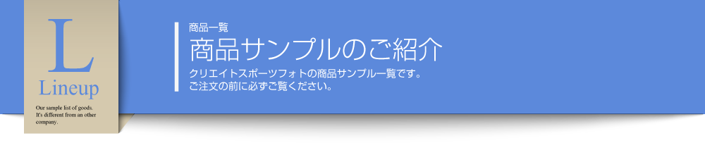 商品一覧:商品サンプルのご紹介